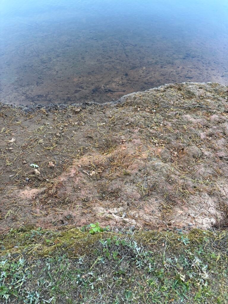 The Lakes at Cedar Grove