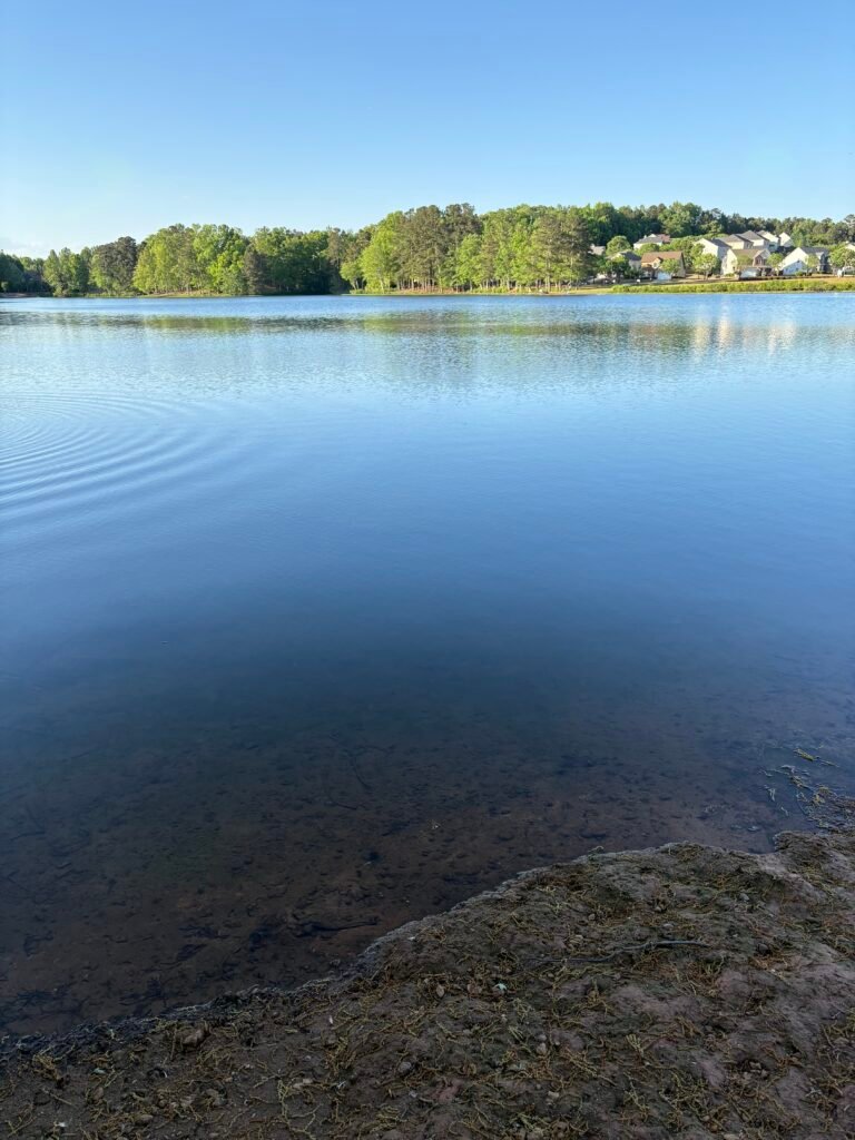 Environmental intelligence begins with observing real-world conditions